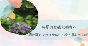金戒光明寺アフロ大仏に出会う黒谷さんぽ