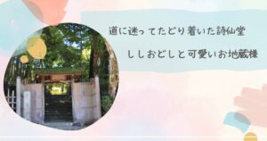 初夏の詩仙堂お散歩