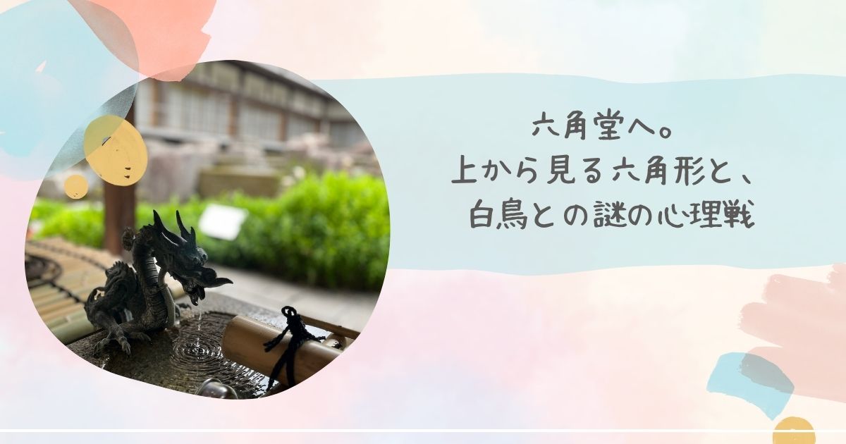 上から見る六角堂
