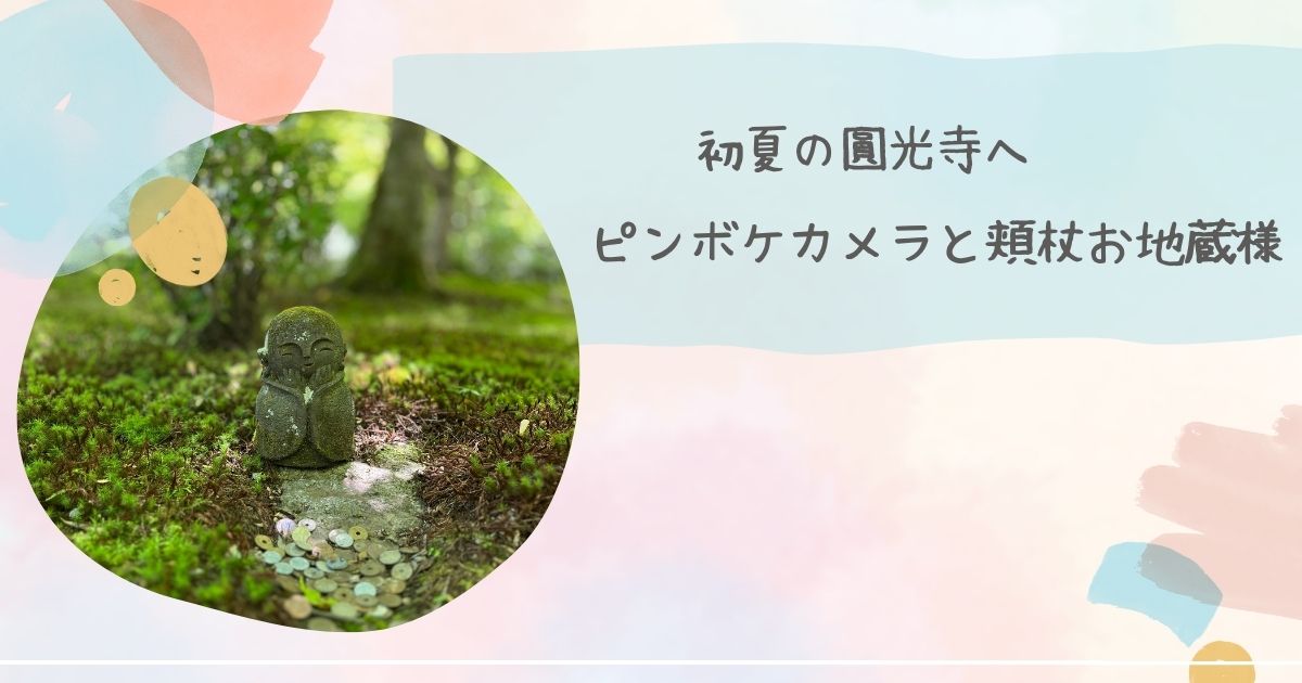 初夏の圓光寺へ