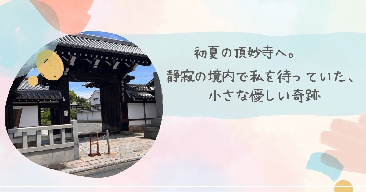 初夏の頂妙寺へ
