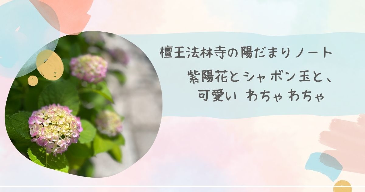檀王法林寺での出会い